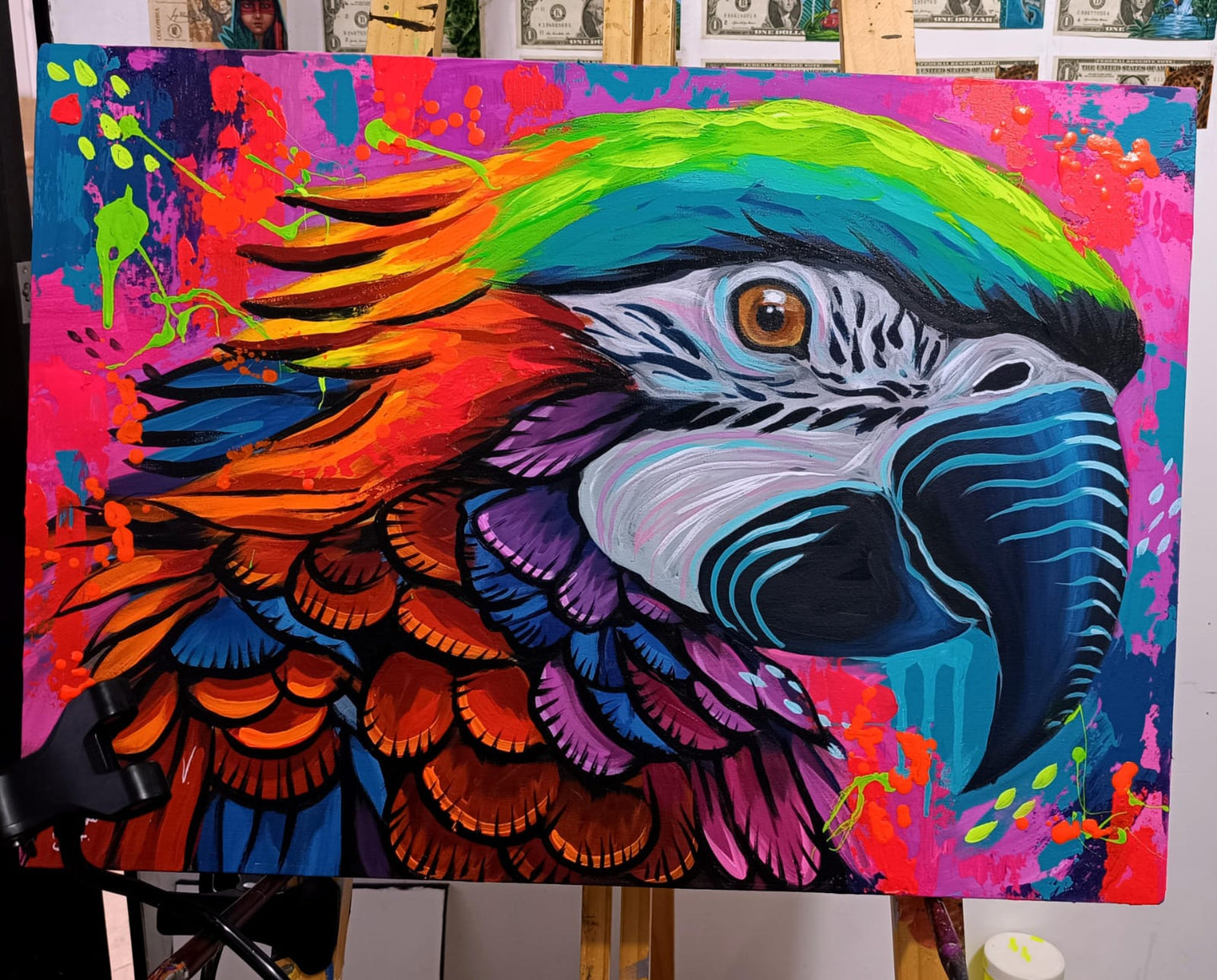 Serie “Guacamayo de Colores” 🦜🎨