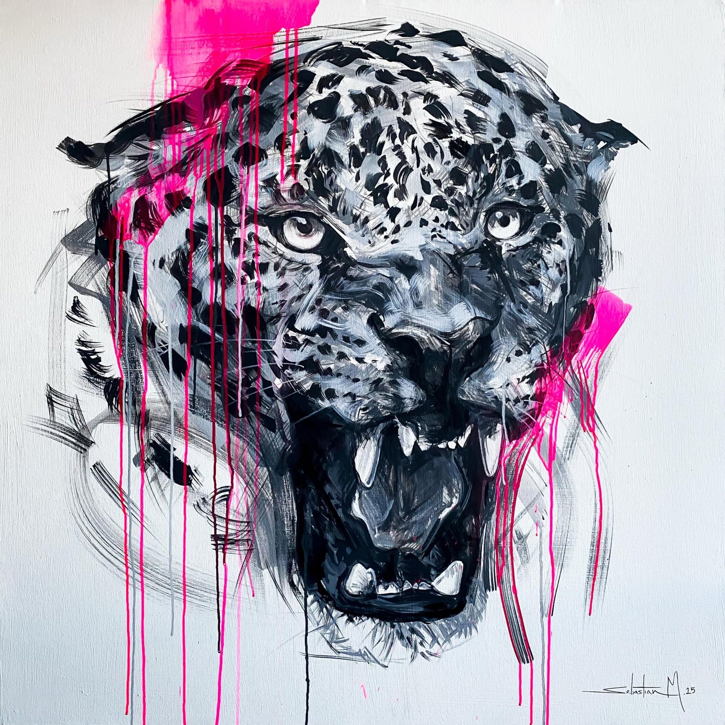 Jaguar🐆