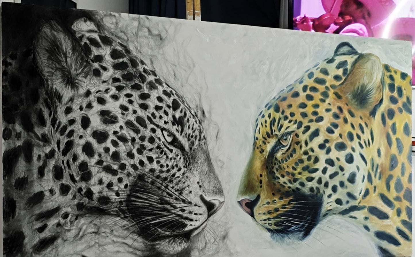 Sombras del Jaguar🐆