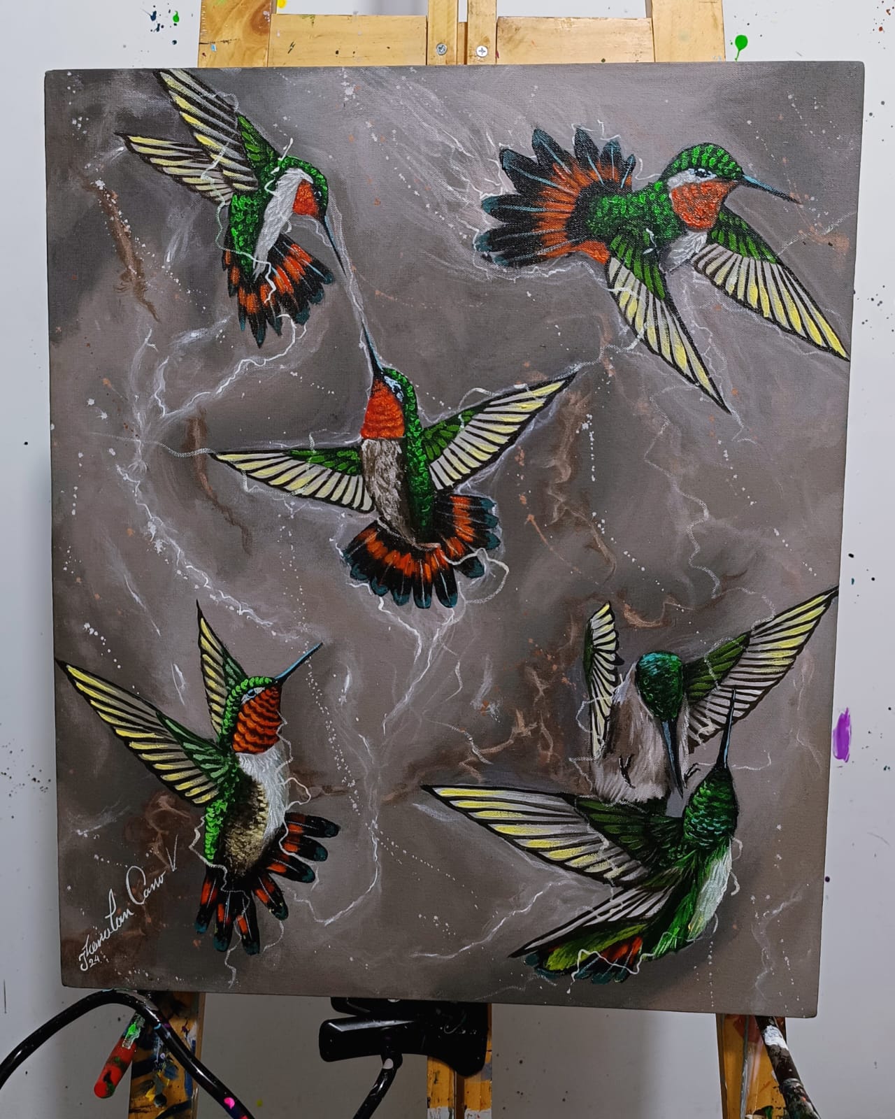 Serie “El Vuelo de los Colibrís” 🐦