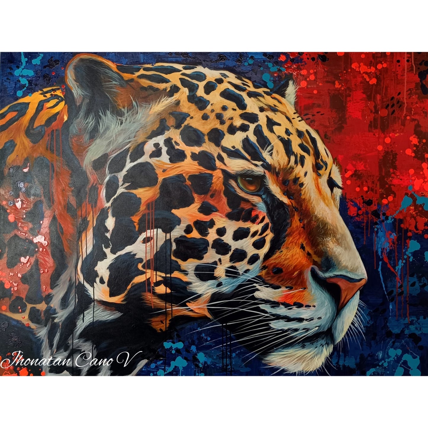 Serie “Rey de la Selva” 🦁