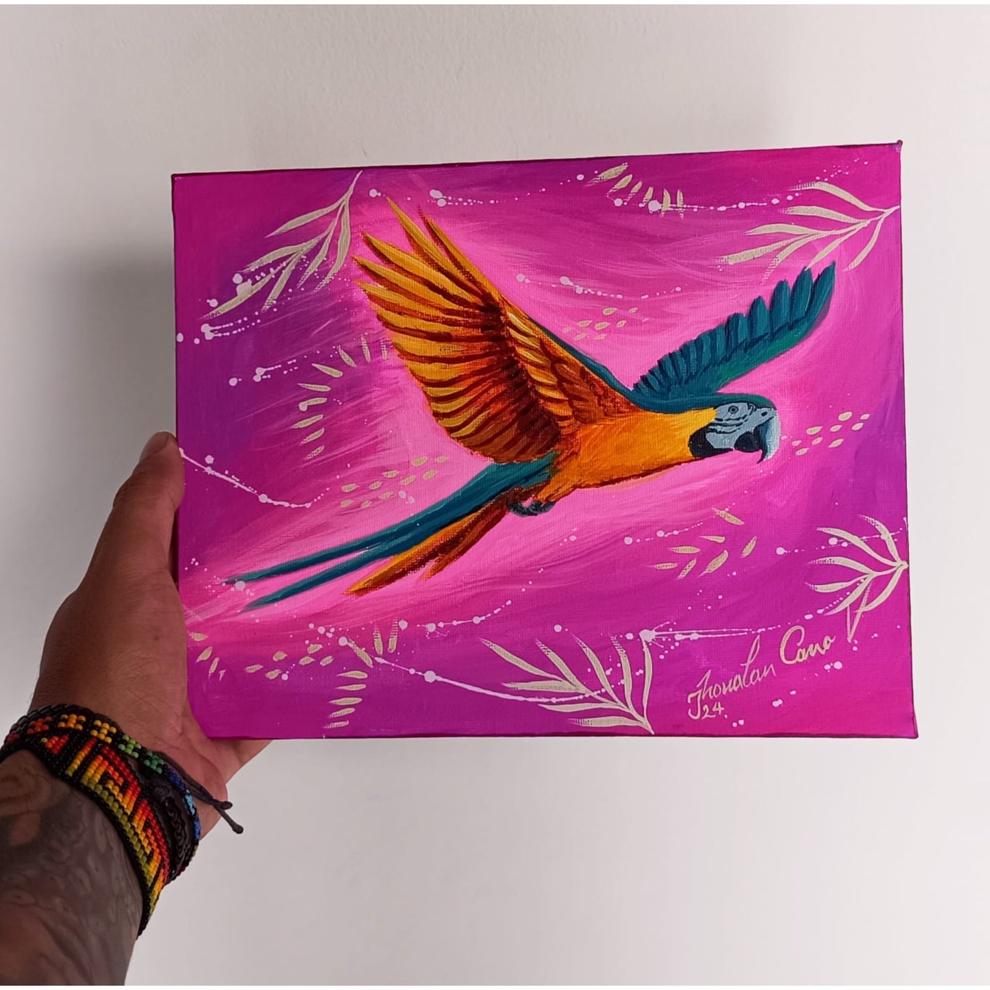 Serie “Guacamayo”🦜