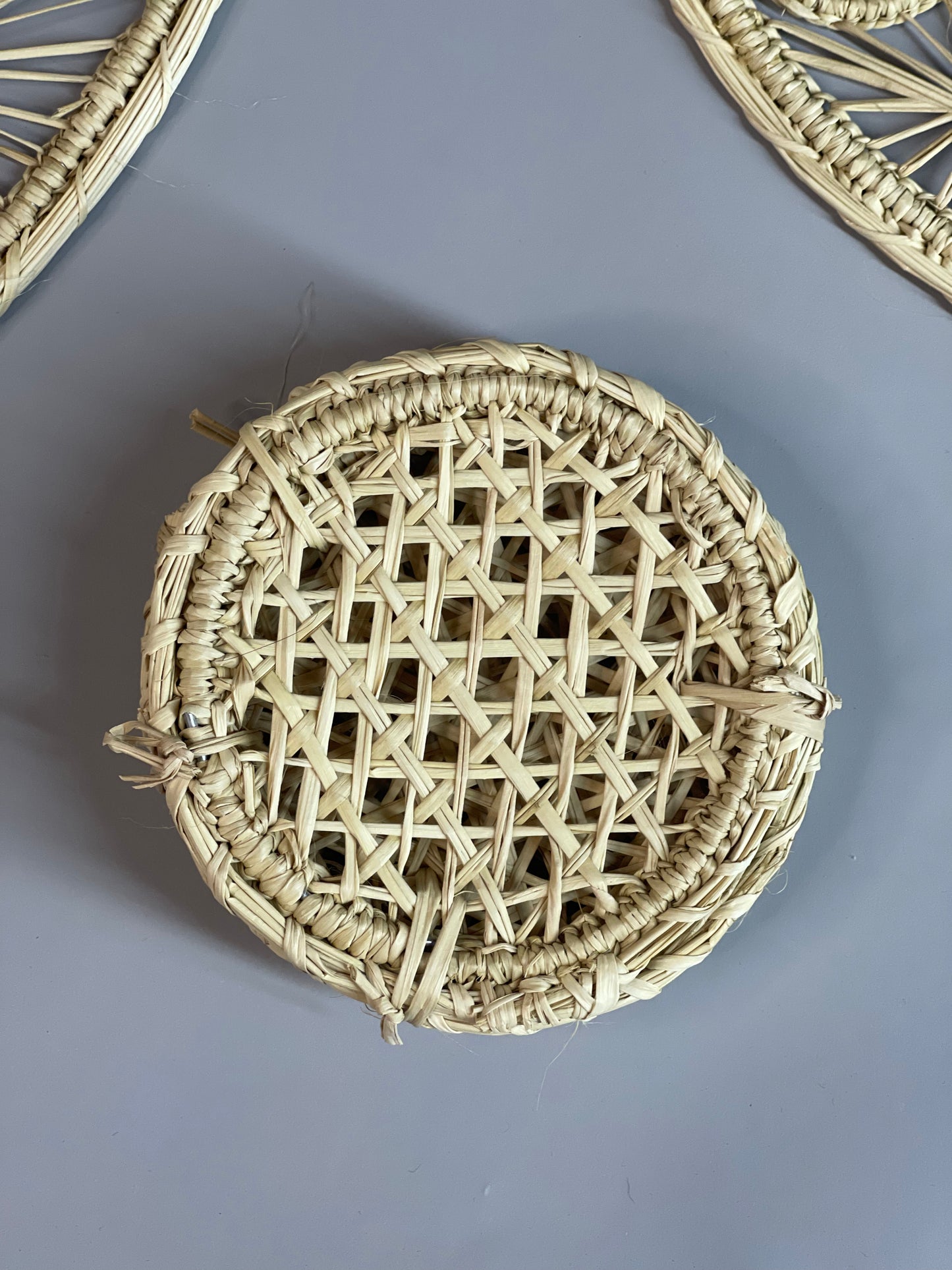 🍽️🌿 Individual Iraca