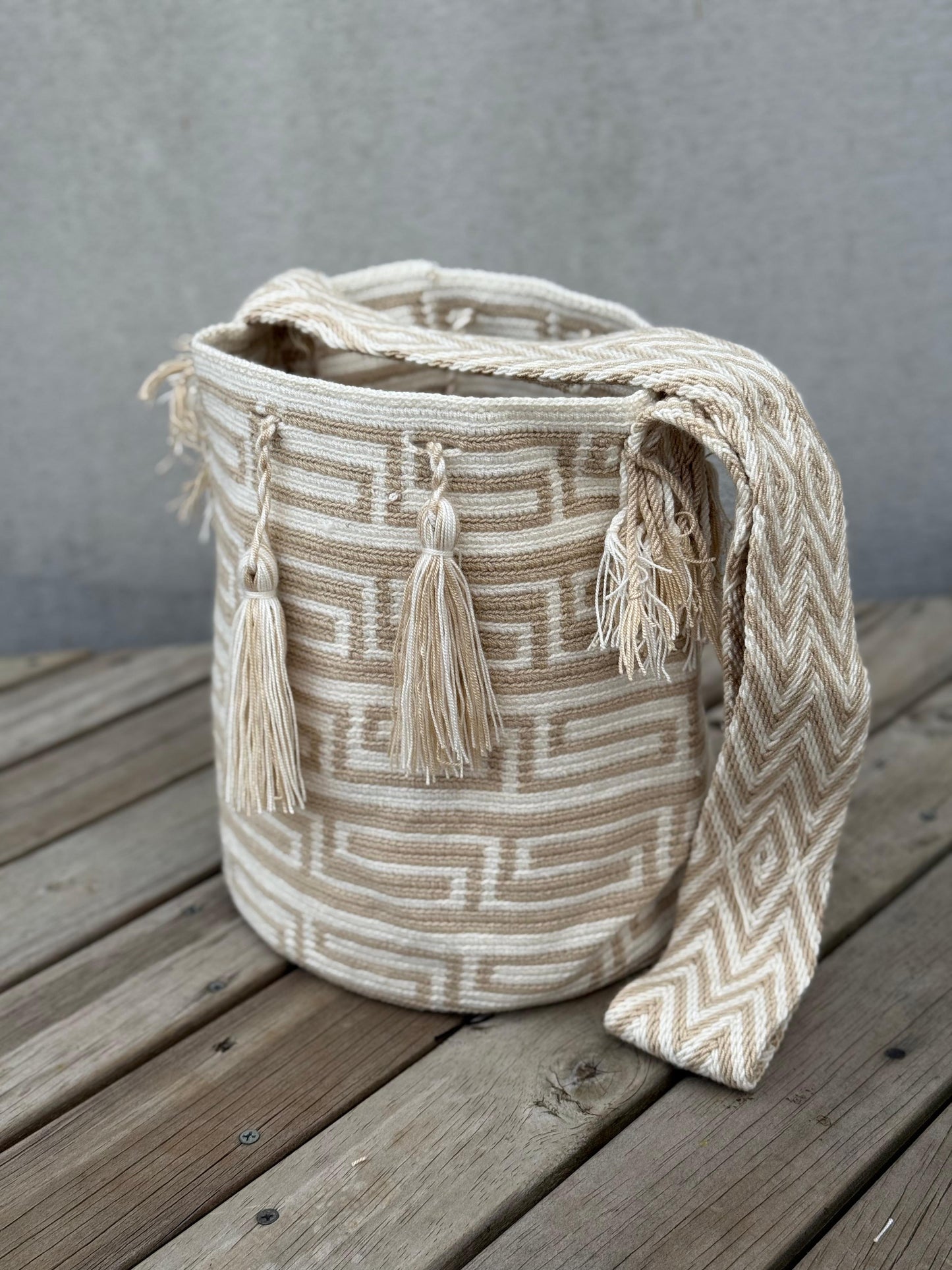 Mochilas GRANDE Diseño PREMIUM 🔥⭐️ (31x28)