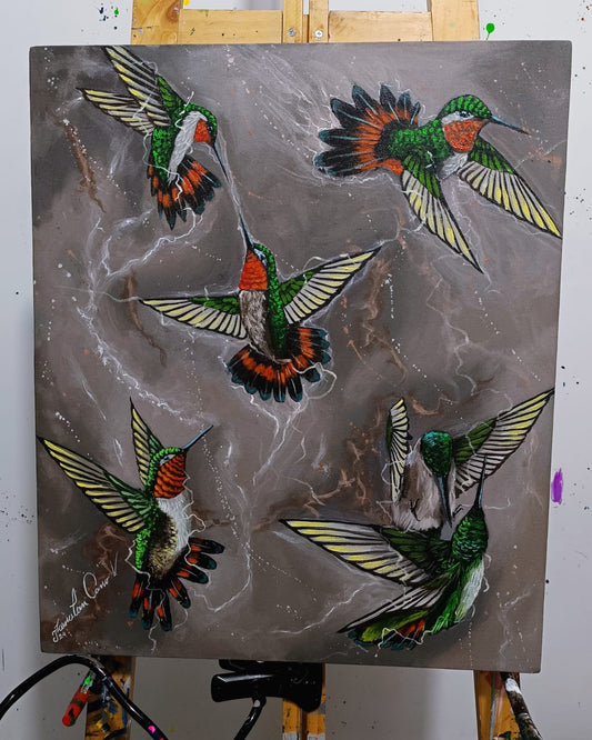 Serie “El Vuelo de los Colibrís” 🐦