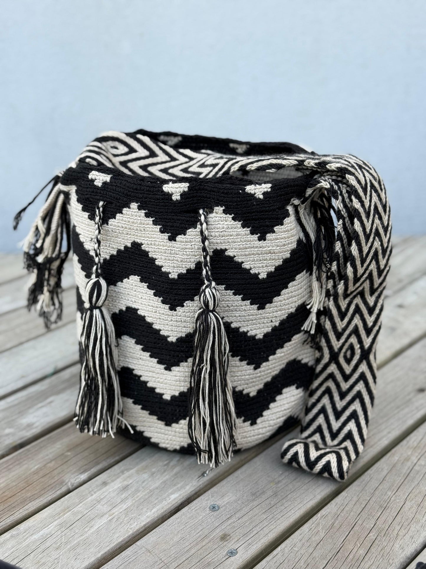 Mochilas GRANDE Diseño PREMIUM 🔥⭐️ (31x28)