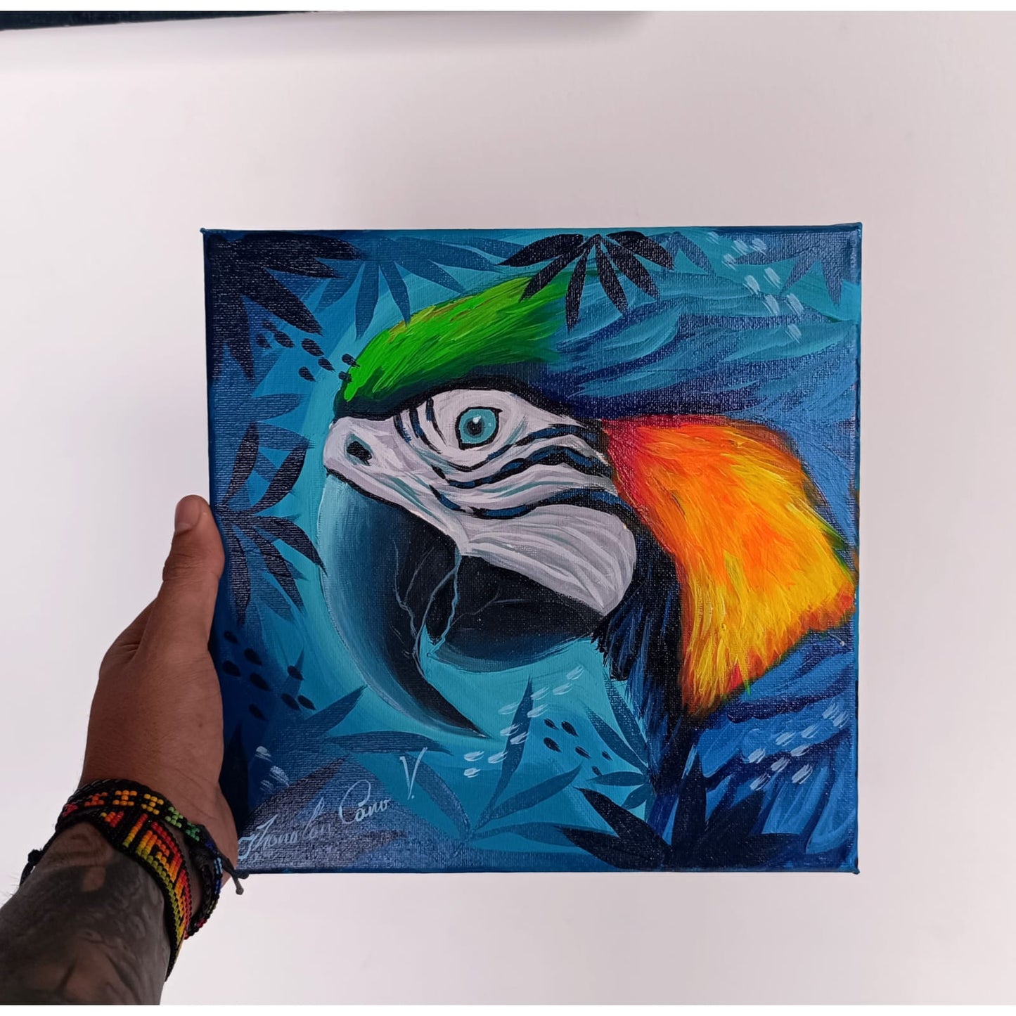 Serie “Guacamayo” 🦜