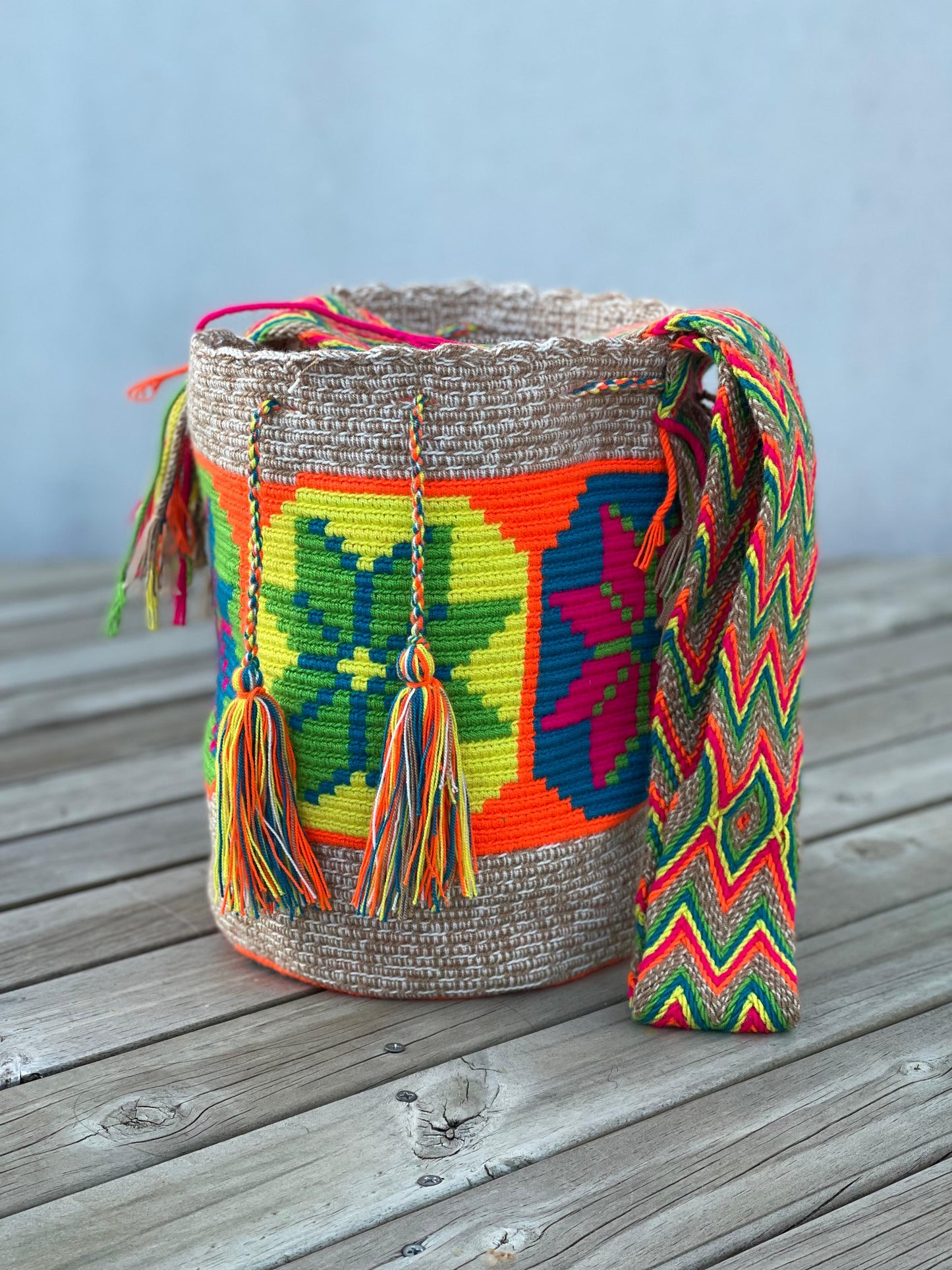 Mochilas GRANDE Matizadas💫 (31x28)